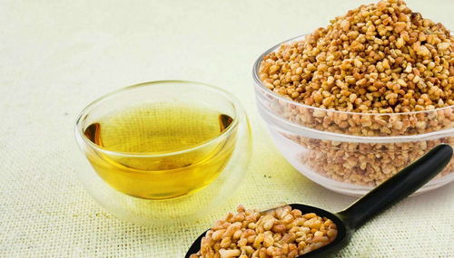 甲亢哥的豆汁儿情缘：从抗拒到每周必喝一次