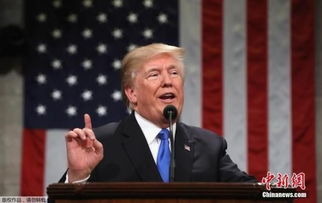 美总统宣布对进口汽车征收25%关税：全球贸易格局或迎新变局