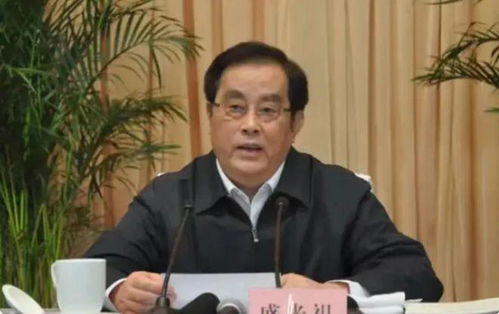 年逾70的徐宪平被查：从发改委原副主任到落马，背后的故事