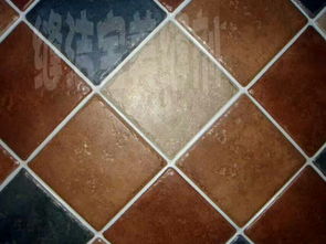 美缝剂行业新趋势：从环保到个性化定制的全面解析