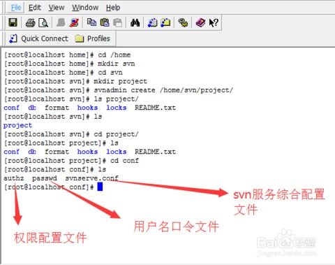 手把手教你用CentOS搭建SVN服务器，小白也能轻松搞定！