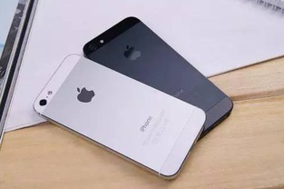 江浙沪精致女生的苹果Live图月销500万背后：为何打工人拍拼好饭的照片也有人抢着买？