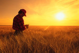 个性决定命运：在选择与坚持中塑造人生