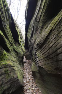 沙沙沙成都沙沙沙：冷空气下的大风与沙尘