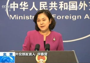 美防长否认记者群聊泄密：背后真相大揭秘