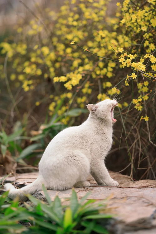 为什么总有作品热衷于塑造白眼狼刁民情节？