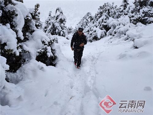 东北三月末下起鹅毛大雪，他亲历了这场春雪奇观