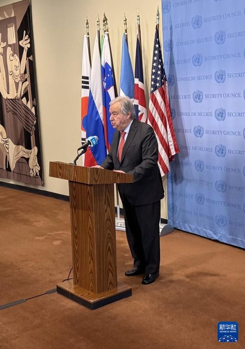 加沙停火协议危机：联合国的呼吁与多方努力