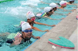 游泳日志（一）：在水中找回自我