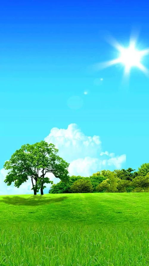 手机壁纸换成草原真的能护眼吗？科学真相来了！