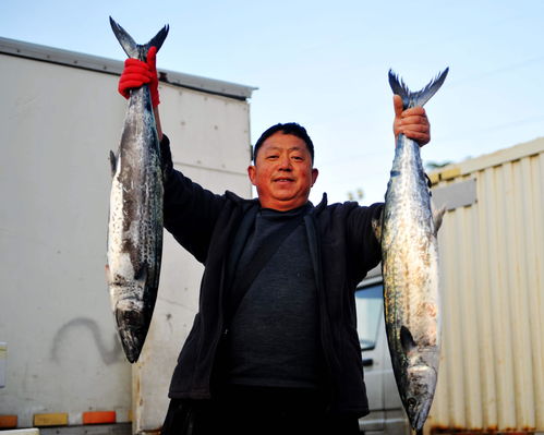 鱼摊的鱼“越狱”被老板一脚踢回：一场意外引发的深思