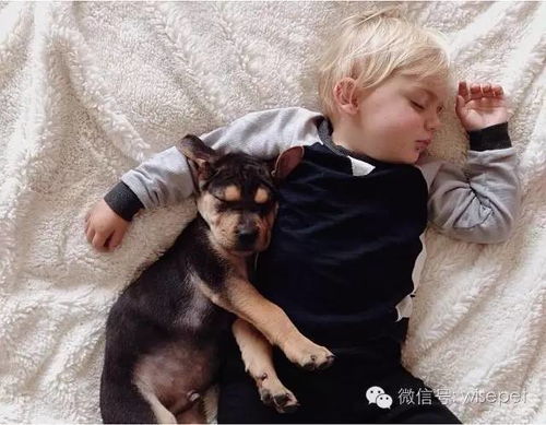 遛狗不牵绳引发冲突：孩子被吓哭，家长驱狗反遭狗主骂