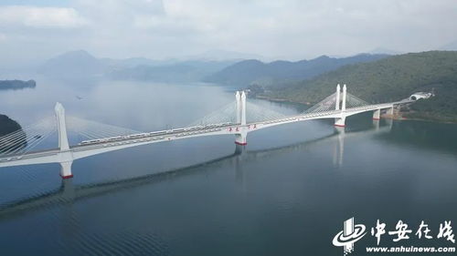 丹宁高速桥梁垮塌事件：一场不可忽视的教训