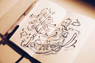 追寻文字的原本模样：从甲骨到简书