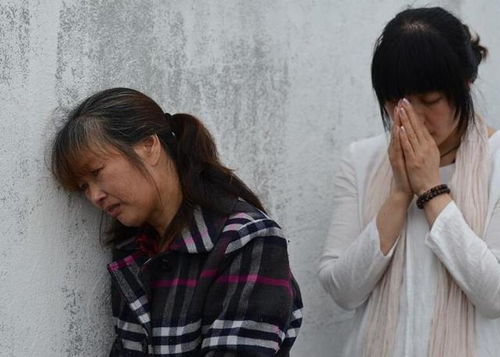 4岁双胞胎捐髓救妈妈：一场跨越血缘的生命接力