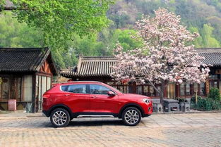 花小钱办大事：八种平替消费风潮席卷年轻人生活