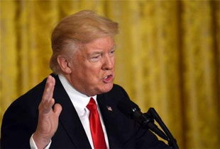 马斯克与特朗普：贸易战下的利益博弈