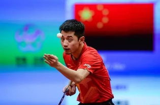 张继科想参加2029全运会：从低谷到梦想的重启