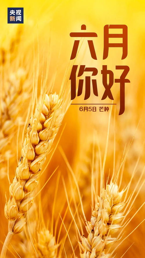 兰迪钛金属真空玻璃：以科技赋能绿色建筑，共筑“好房子”未来