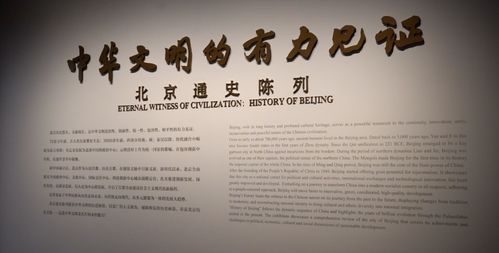 探寻中华文明之魂：医圣祠的千年药香承古启今