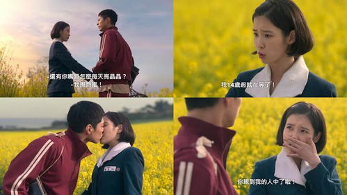 苦尽柑来遇见你大结局：甜蜜与感动交织的完美落幕