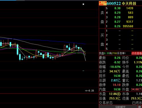 A股上市公司惊现首位越南籍高管：跨文化管理的新篇章