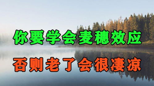 生活中的麦穗效应：如何避免掉入思维陷阱