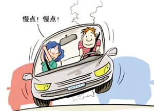 带父母自驾游全国，到底要花多少钱？真实经历告诉你答案