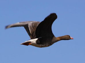甜啦啦与《滤镜》联名：一场春日里的双向奔赴