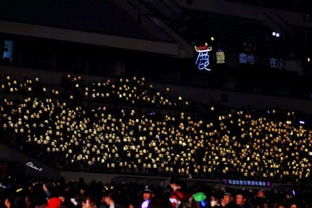 应援消费背后的真相：越孤独越消费