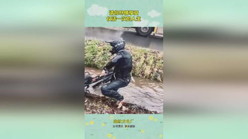 尽情享受一次的人生：在有限时光中追逐无限可能