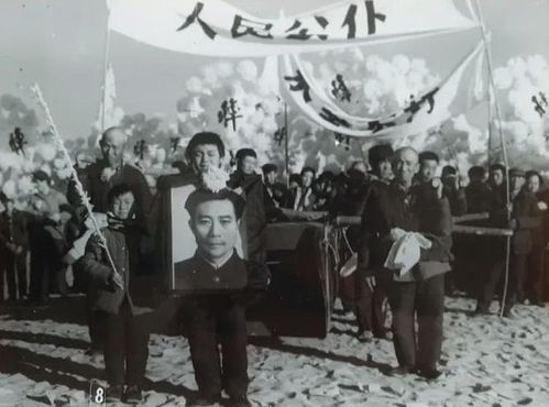 为什么越来越多人选择国外原版教材？这里有你不知道的秘密