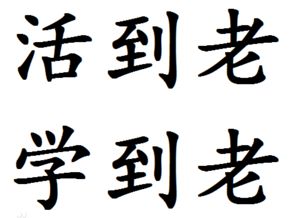 活到老学到老：一位坚持学习的普通人故事