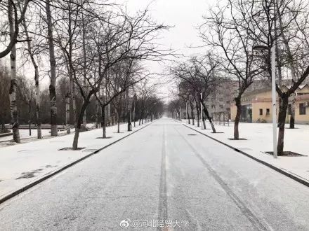 湖北下雪了！比冬天的雪还大，一夜之间穿越四季