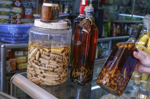 泡药材最佳选择：选错酒，养生变伤身！