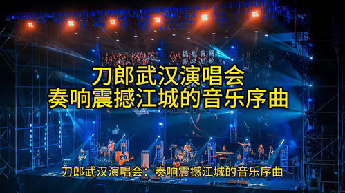 刀郎武汉演唱会：一场音乐与情感的双重盛宴