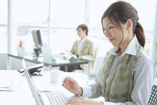 假装上班公司：一个特殊职场的奇妙体验