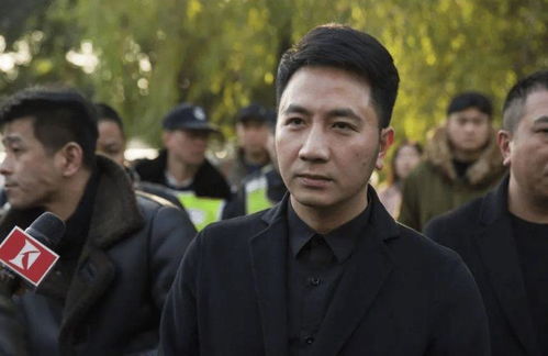 林生斌事件再起波澜：宋祖德言论引发的法律风暴