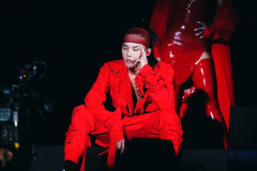 权志龙演唱会：一场震撼心灵的音乐盛宴