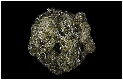 罪恶的石头：一段鲜为人知的历史真相