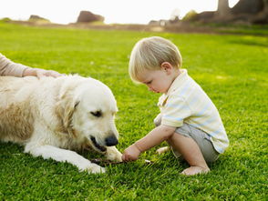 突遇狗群 妈妈教科书式保护孩子