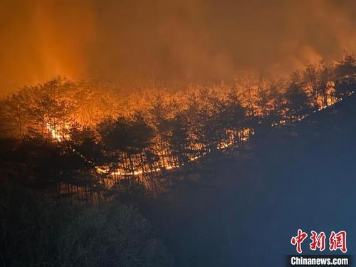 韩国山火为何如此严重？这场灾难背后的故事