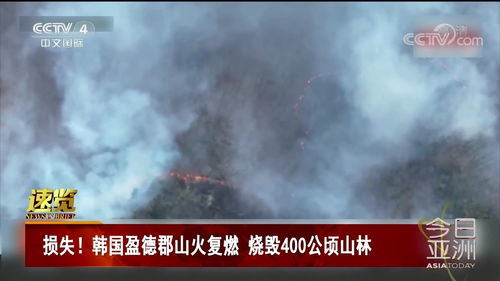 韩国山火复燃：一场自然与人类的双重灾难