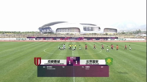 北京国安1:1成都蓉城：热血对决背后的精彩故事