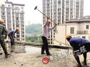 重庆一街道办强拆鱼塘事件：37万斤鱼损失背后的真相与反思