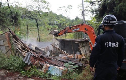 强拆鱼塘被判赔380万，街道办回应背后的真相