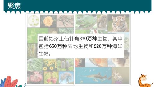 六下2-1/2《校园生物大搜索》与《绘制校园生物分布图》教学反思