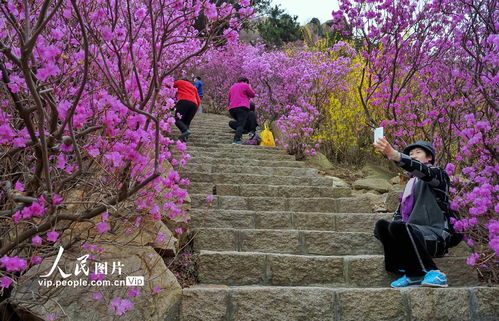 拥抱春天的风景：一场与自然的深情对话