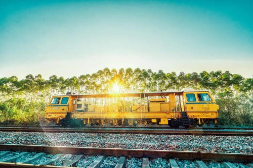 想来铁路上班？铁路人教你如何正确报名！