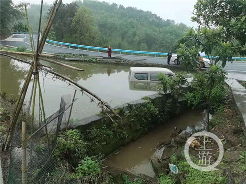 重庆街道办强拆鱼塘事件：37万斤鱼损失背后的责任与反思